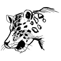 Malvorlage: Leopard (Tiere) #9807 - Kostenlose Malvorlagen zum Ausdrucken