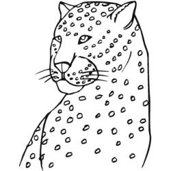 Malvorlage: Leopard (Tiere) #9814 - Kostenlose Malvorlagen zum Ausdrucken
