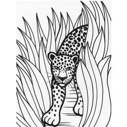 Malvorlage: Leopard (Tiere) #9825 - Kostenlose Malvorlagen zum Ausdrucken