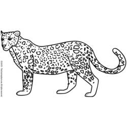 Malvorlage: Leopard (Tiere) #9869 - Kostenlose Malvorlagen zum Ausdrucken