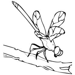 Malvorlage: Libelle (Tiere) #10035 - Kostenlose Malvorlagen zum Ausdrucken
