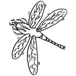 Malvorlage: Libelle (Tiere) #10036 - Kostenlose Malvorlagen zum Ausdrucken
