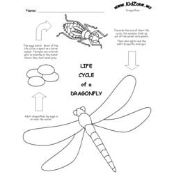 Malvorlage: Libelle (Tiere) #10052 - Kostenlose Malvorlagen zum Ausdrucken