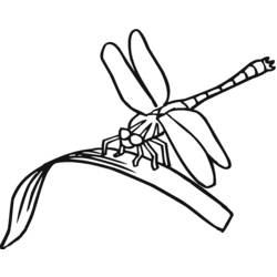 Malvorlage: Libelle (Tiere) #9888 - Kostenlose Malvorlagen zum Ausdrucken