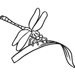Malvorlage: Libelle (Tiere) #9909 - Kostenlose Malvorlagen zum Ausdrucken