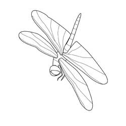 Malvorlage: Libelle (Tiere) #9916 - Kostenlose Malvorlagen zum Ausdrucken