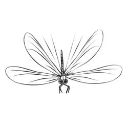 Malvorlage: Libelle (Tiere) #9931 - Kostenlose Malvorlagen zum Ausdrucken