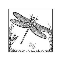 Malvorlage: Libelle (Tiere) #9936 - Kostenlose Malvorlagen zum Ausdrucken