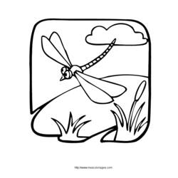 Malvorlage: Libelle (Tiere) #9950 - Kostenlose Malvorlagen zum Ausdrucken