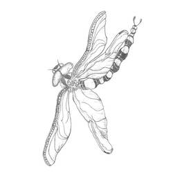 Malvorlage: Libelle (Tiere) #9968 - Kostenlose Malvorlagen zum Ausdrucken