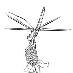 Malvorlage: Libelle (Tiere) #9980 - Kostenlose Malvorlagen zum Ausdrucken