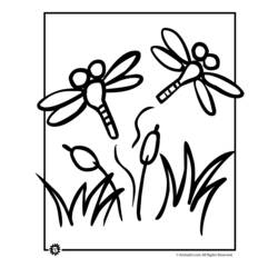 Malvorlage: Libelle (Tiere) #9988 - Kostenlose Malvorlagen zum Ausdrucken