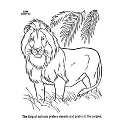 Malvorlage: Löwe (Tiere) #10252 - Kostenlose Malvorlagen zum Ausdrucken