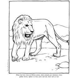 Malvorlage: Löwe (Tiere) #10399 - Kostenlose Malvorlagen zum Ausdrucken