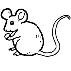 Malvorlage: Maus (Tiere) #13938 - Kostenlose Malvorlagen zum Ausdrucken
