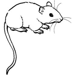 Malvorlage: Maus (Tiere) #13941 - Kostenlose Malvorlagen zum Ausdrucken