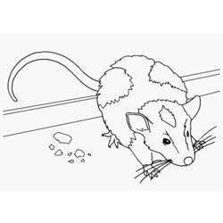 Malvorlage: Maus (Tiere) #13963 - Kostenlose Malvorlagen zum Ausdrucken
