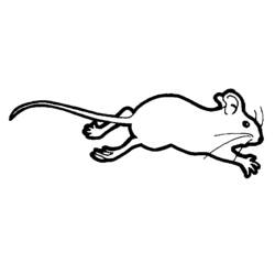 Malvorlage: Maus (Tiere) #13985 - Kostenlose Malvorlagen zum Ausdrucken