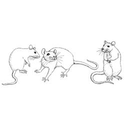 Malvorlage: Maus (Tiere) #14056 - Kostenlose Malvorlagen zum Ausdrucken