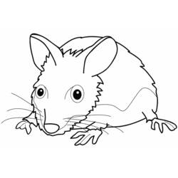 Malvorlage: Maus (Tiere) #14130 - Kostenlose Malvorlagen zum Ausdrucken