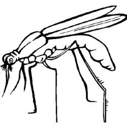 Malvorlage: Mücke (Tiere) #11324 - Kostenlose Malvorlagen zum Ausdrucken