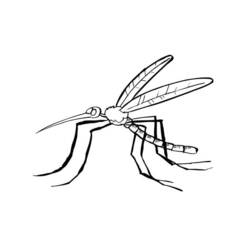Malvorlage: Mücke (Tiere) #11326 - Kostenlose Malvorlagen zum Ausdrucken