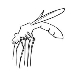 Malvorlage: Mücke (Tiere) #207169 - Kostenlose Malvorlagen zum Ausdrucken