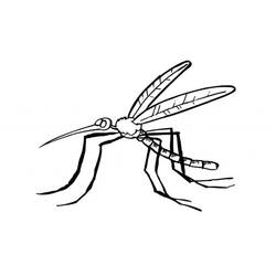Malvorlage: Mücke (Tiere) #207171 - Kostenlose Malvorlagen zum Ausdrucken