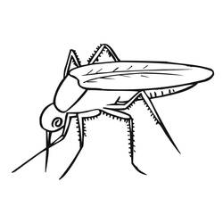 Malvorlage: Mücke (Tiere) #207174 - Kostenlose Malvorlagen zum Ausdrucken