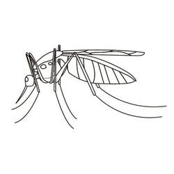 Malvorlage: Mücke (Tiere) #207178 - Kostenlose Malvorlagen zum Ausdrucken