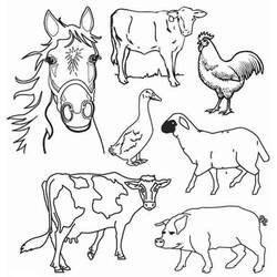 Malvorlage: Nutztiere (Tiere) #21381 - Kostenlose Malvorlagen zum Ausdrucken