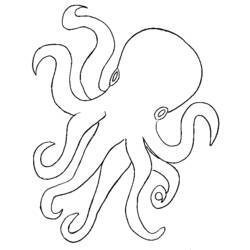 Malvorlage: Oktopus (Tiere) #18923 - Kostenlose Malvorlagen zum Ausdrucken