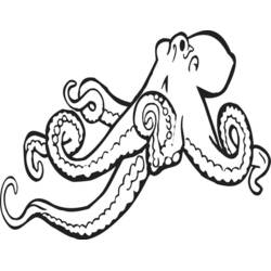 Malvorlage: Oktopus (Tiere) #18966 - Kostenlose Malvorlagen zum Ausdrucken