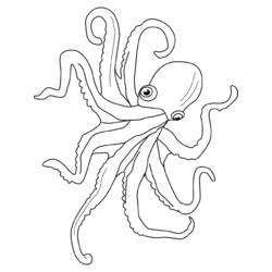Malvorlage: Oktopus (Tiere) #18976 - Kostenlose Malvorlagen zum Ausdrucken