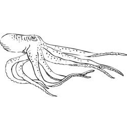 Malvorlage: Oktopus (Tiere) #18978 - Kostenlose Malvorlagen zum Ausdrucken