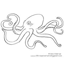 Malvorlage: Oktopus (Tiere) #18979 - Kostenlose Malvorlagen zum Ausdrucken