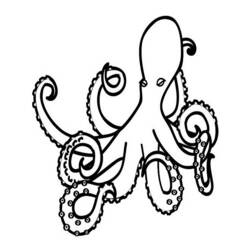 Malvorlage: Oktopus (Tiere) #19011 - Kostenlose Malvorlagen zum Ausdrucken