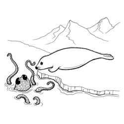 Malvorlage: Oktopus (Tiere) #19023 - Kostenlose Malvorlagen zum Ausdrucken