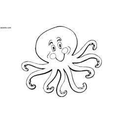 Malvorlage: Oktopus (Tiere) #19076 - Kostenlose Malvorlagen zum Ausdrucken