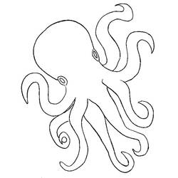 Malvorlage: Oktopus (Tiere) #19103 - Kostenlose Malvorlagen zum Ausdrucken