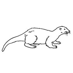 Malvorlage: Otter (Tiere) #10643 - Kostenlose Malvorlagen zum Ausdrucken