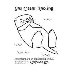 Malvorlage: Otter (Tiere) #10654 - Kostenlose Malvorlagen zum Ausdrucken