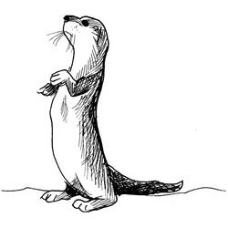Zeichnungen zum Ausmalen: Otter - Druckbare Malvorlagen