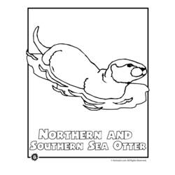 Malvorlage: Otter (Tiere) #10674 - Kostenlose Malvorlagen zum Ausdrucken