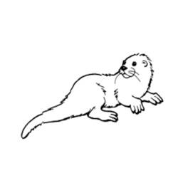 Malvorlage: Otter (Tiere) #10735 - Kostenlose Malvorlagen zum Ausdrucken