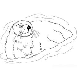 Malvorlage: Otter (Tiere) #10762 - Kostenlose Malvorlagen zum Ausdrucken