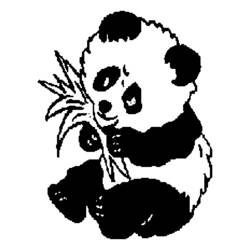 Malvorlage: Panda (Tiere) #12438 - Kostenlose Malvorlagen zum Ausdrucken