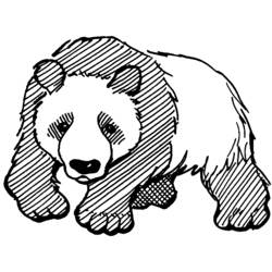 Malvorlage: Panda (Tiere) #12462 - Kostenlose Malvorlagen zum Ausdrucken