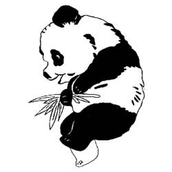 Malvorlage: Panda (Tiere) #12499 - Kostenlose Malvorlagen zum Ausdrucken