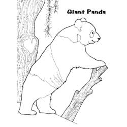 Malvorlage: Panda (Tiere) #12508 - Kostenlose Malvorlagen zum Ausdrucken